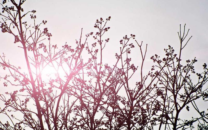 b6df324d80973942fab6c5e3e5d5293d