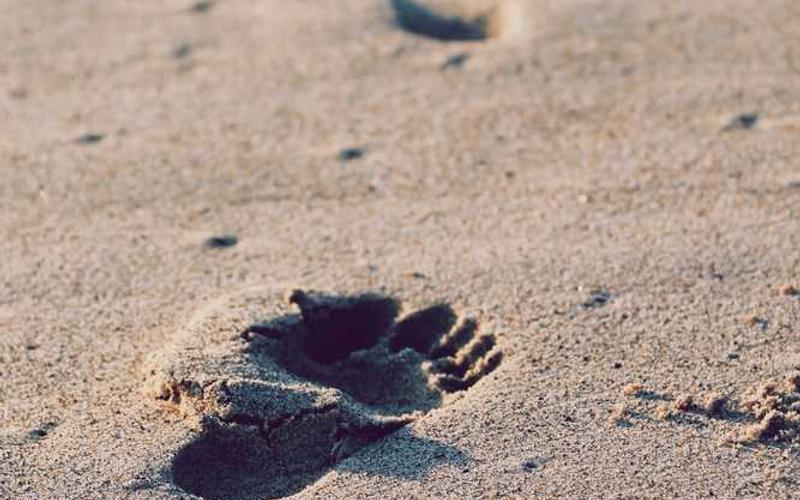 cba5e600c30e208188c7e00b6c736894