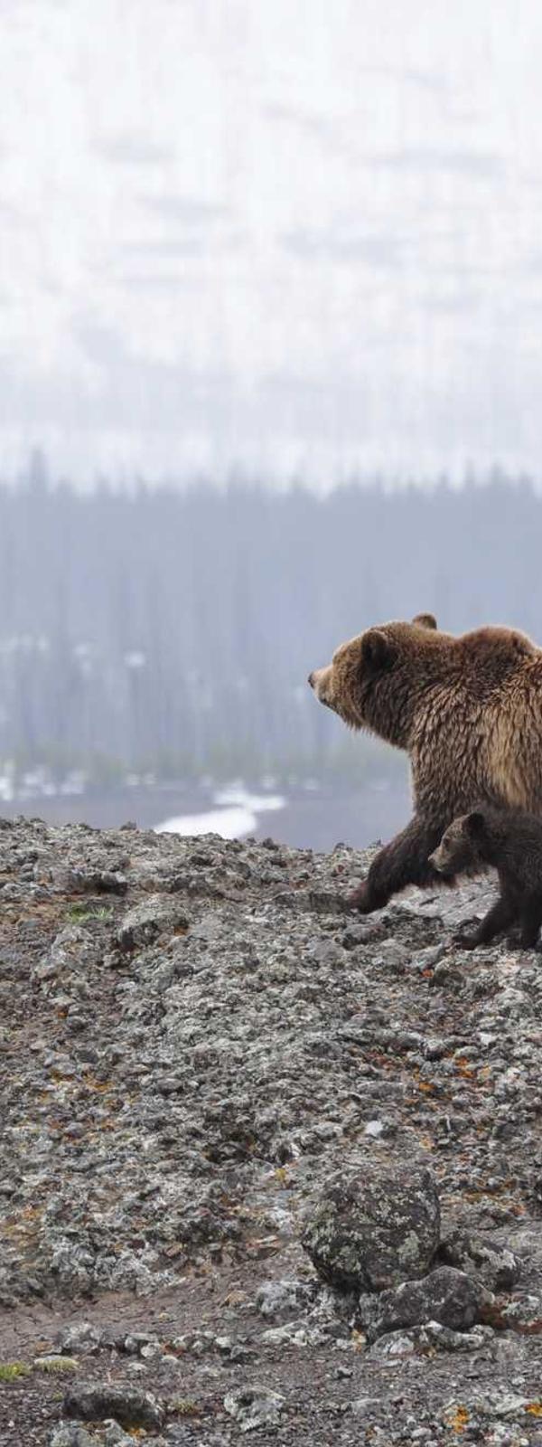 efbf60785d4c887211da383c5dc080fb