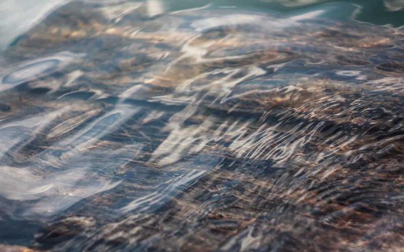 f813e8ce8ca2995940929b8bb26aadda