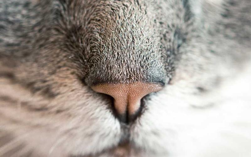 2f16fe748c1454f7e175b635f771d104