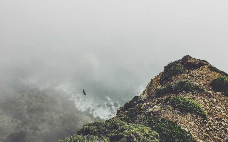 7e66615ab41e39b6cf4cc223597122e1